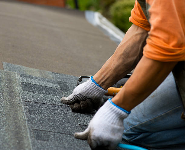 Best Storm Damage Roof Repair  in New Windsor, MD